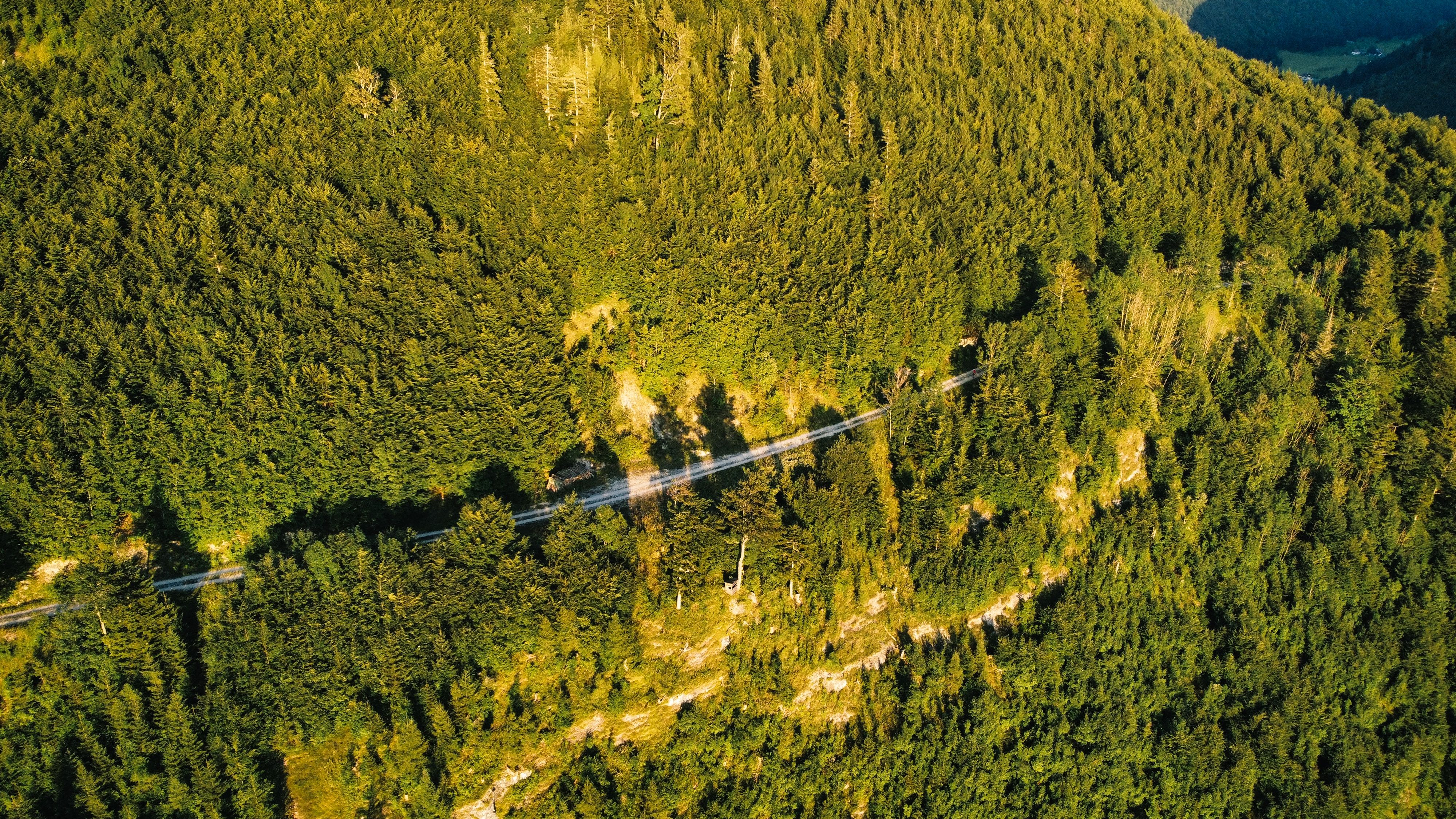 Die kurvenreiche Gravelstrecke oberhalb von Hintersee bei Faistenau ist ein Traum für Gravelbiker.