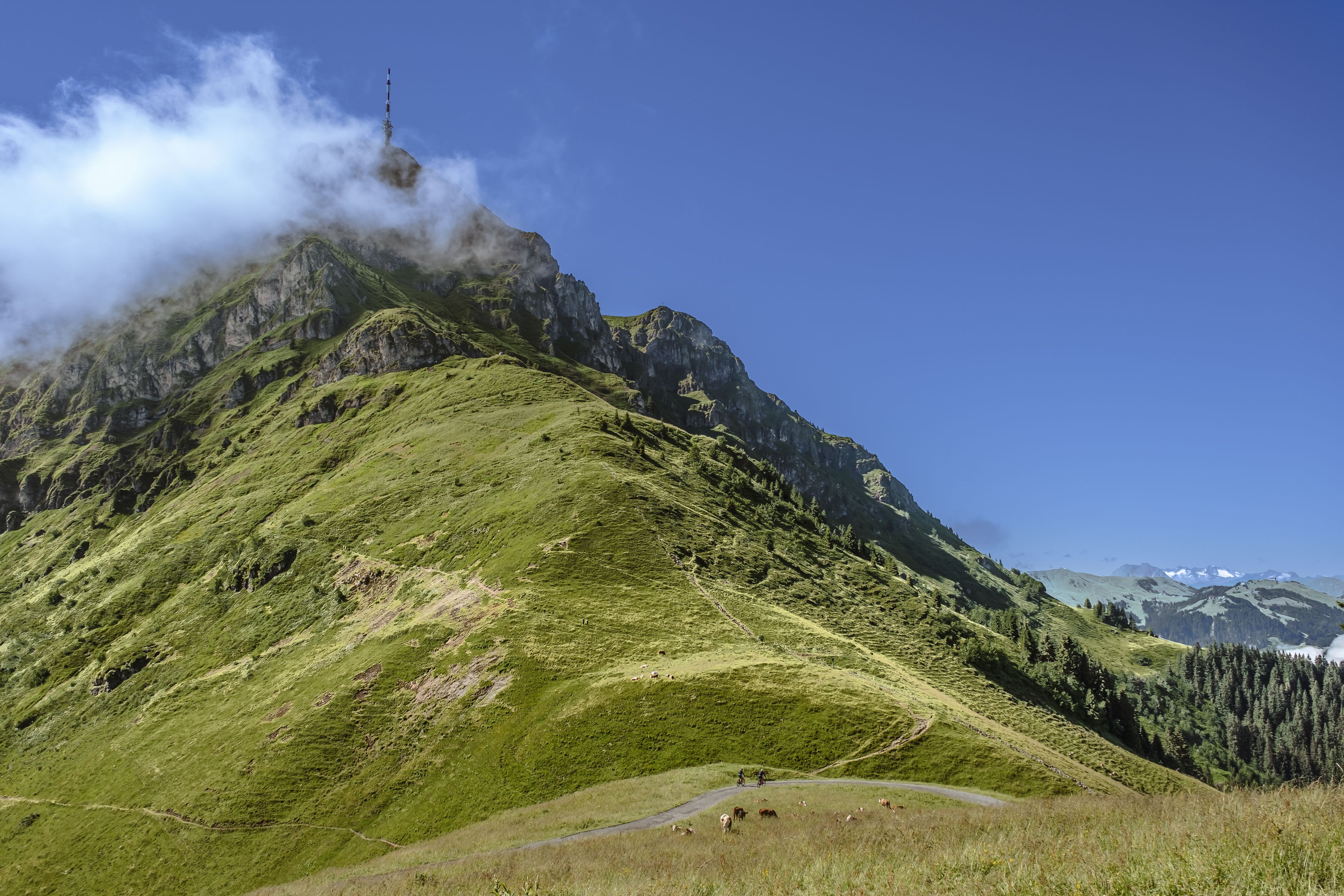 Very close to the famous Kitzbüheler Horn at Harschbichl Mountain on the KAT Bike Sport+ MTB Route.