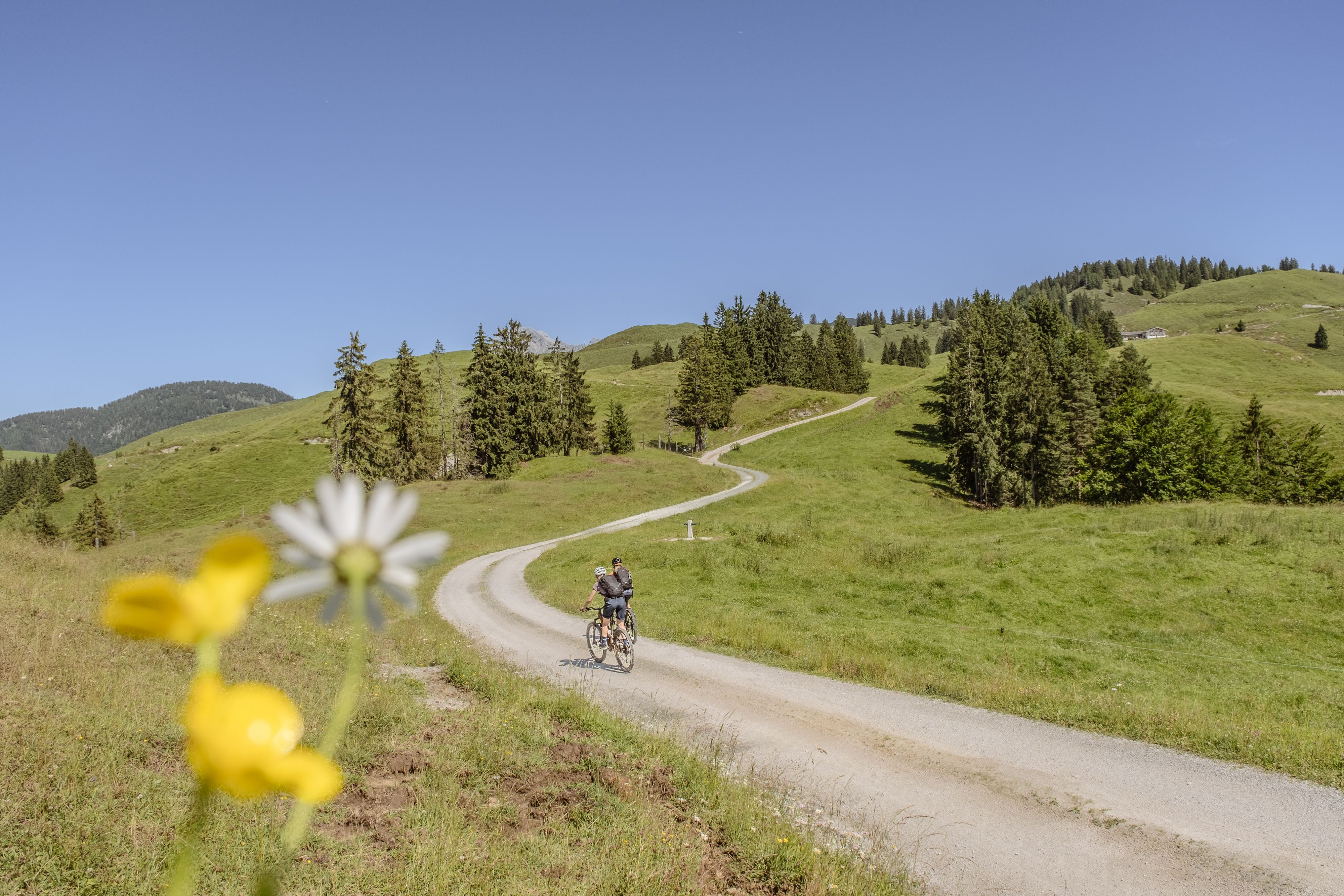 The Kalkalmen are a unique landscape you can explore bikepacking the KAT Bike Route through the Alps.