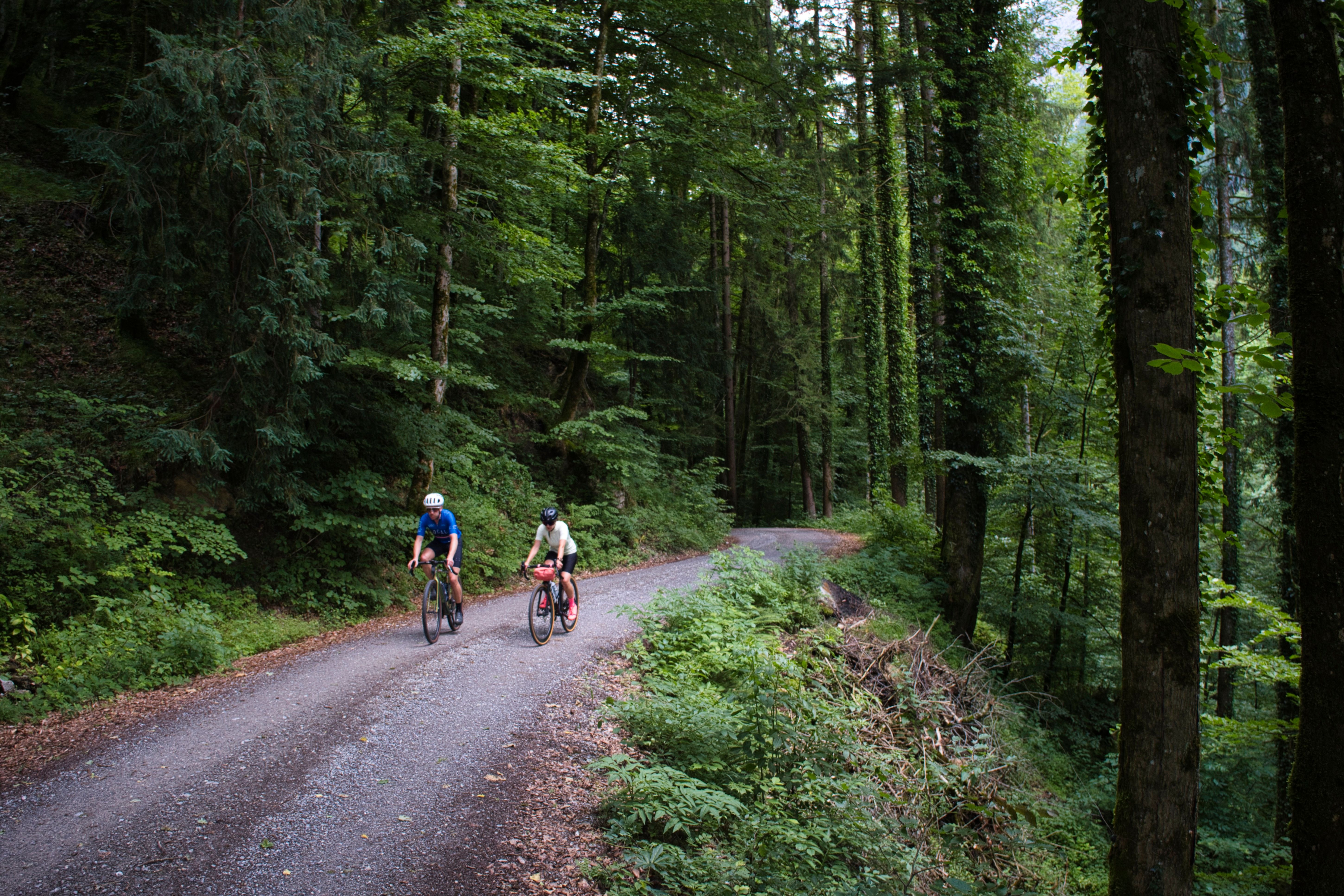 Panorama Graveltour ins Lammertal