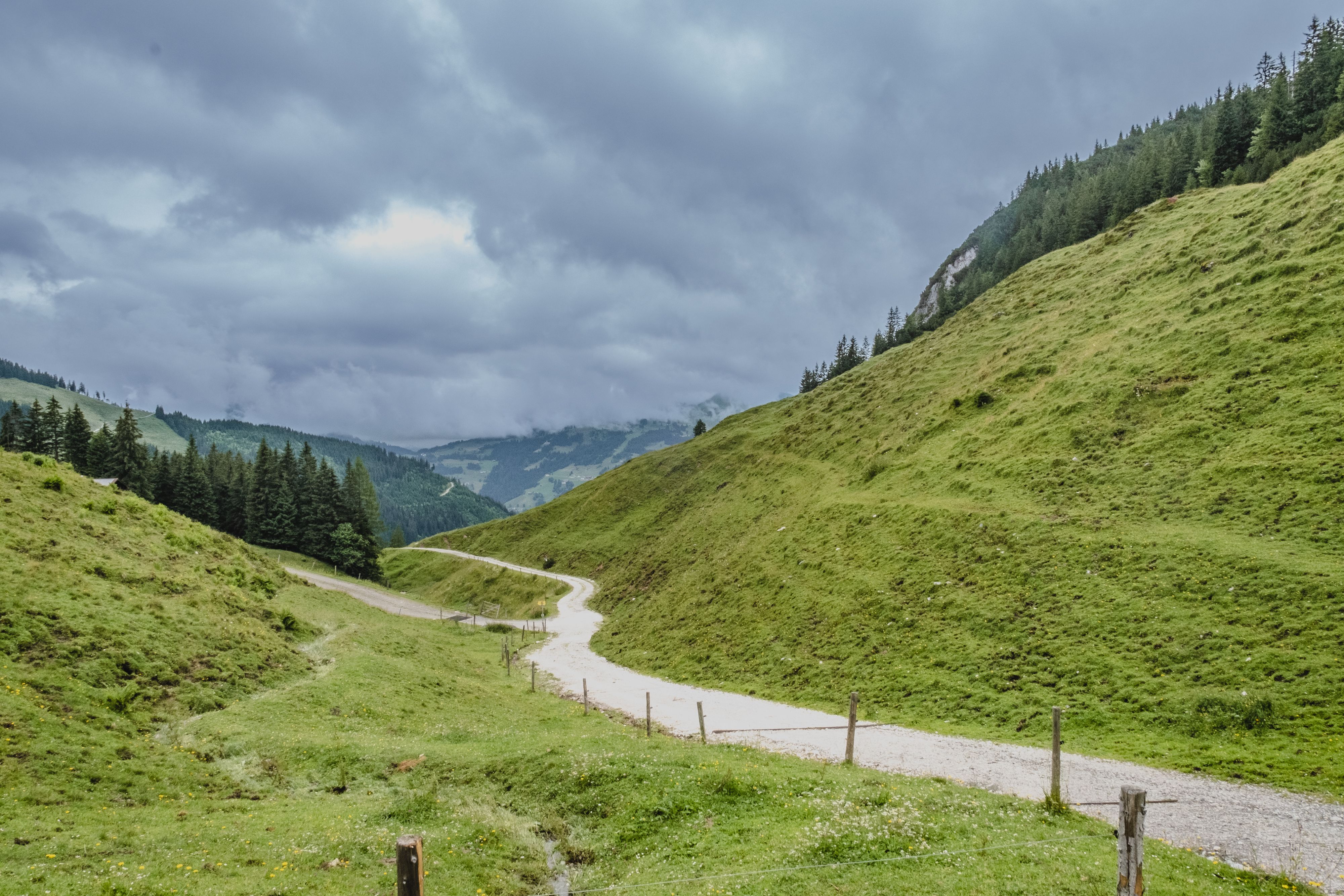 Die Schotterstraße hinauf zur Wiegalm ist einfach fantastisch für die Aussicht auf die Alpen und ein Paradies für Mountainbiker.