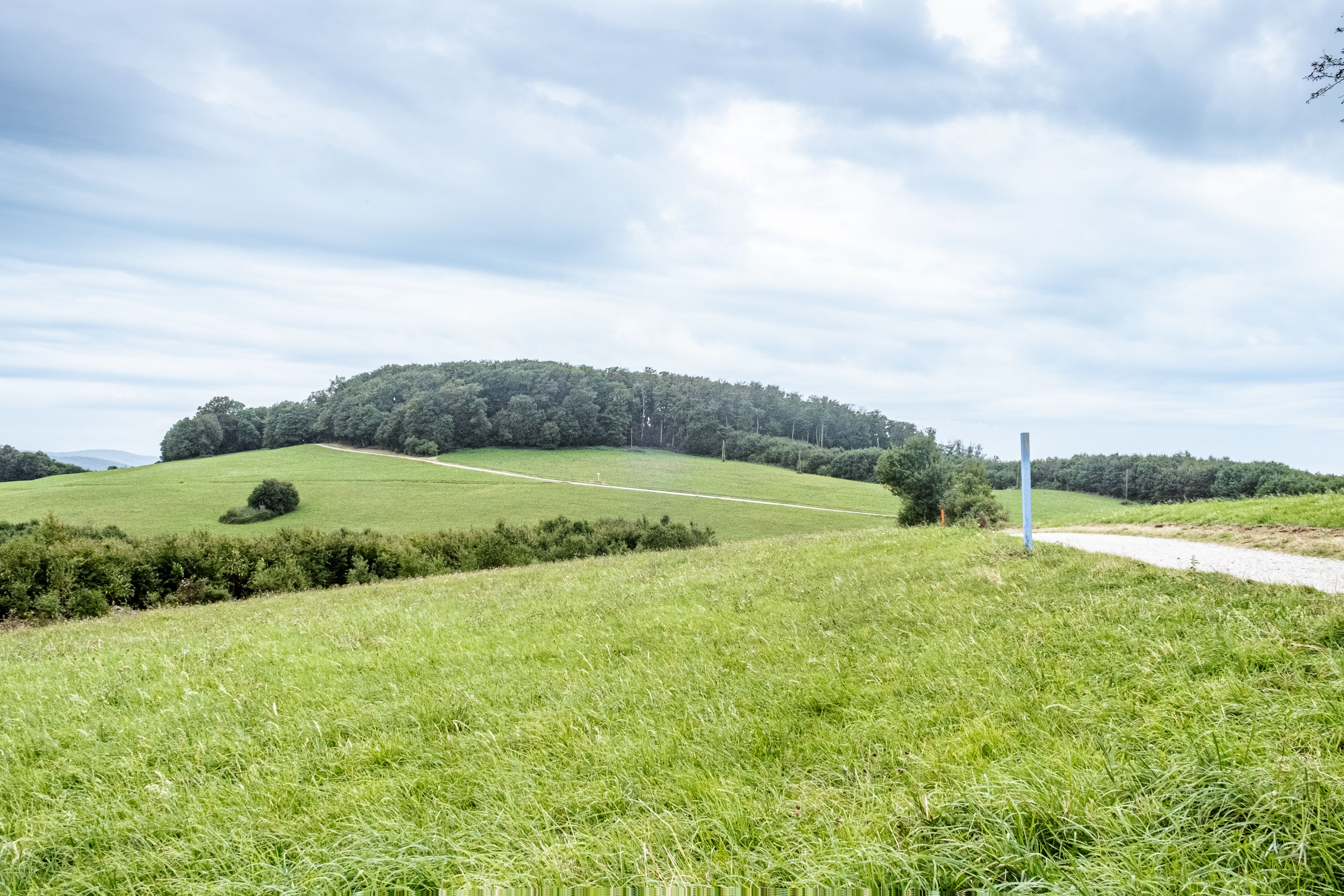 Wien ist umgeben von einem Netz aus landschaftlich reizvollen Schotterstraßen und Waldwegen, ideal für Gravelbikes!