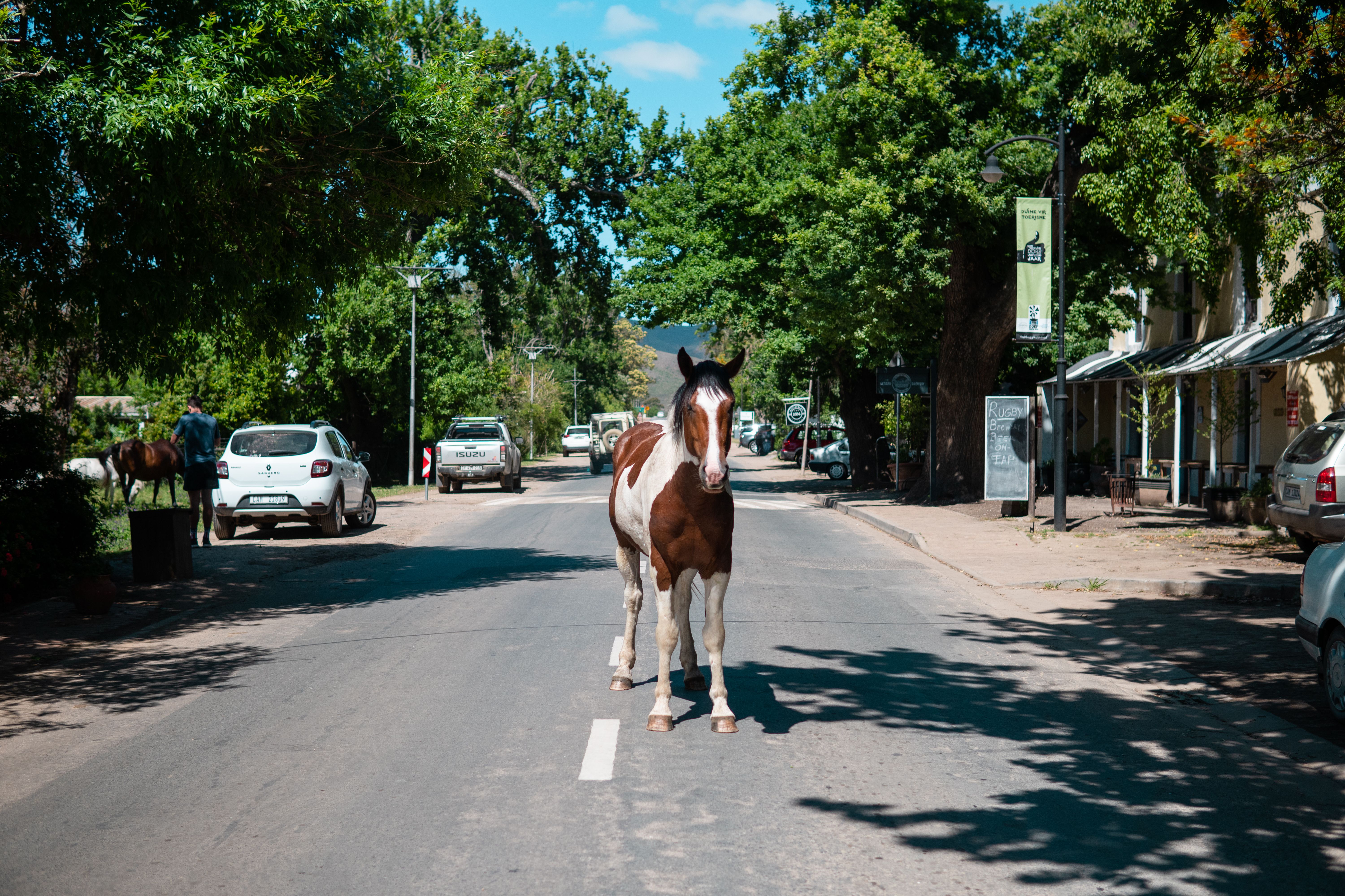 Greyton is a small but beautiful town and the meeting point for mountainbikers