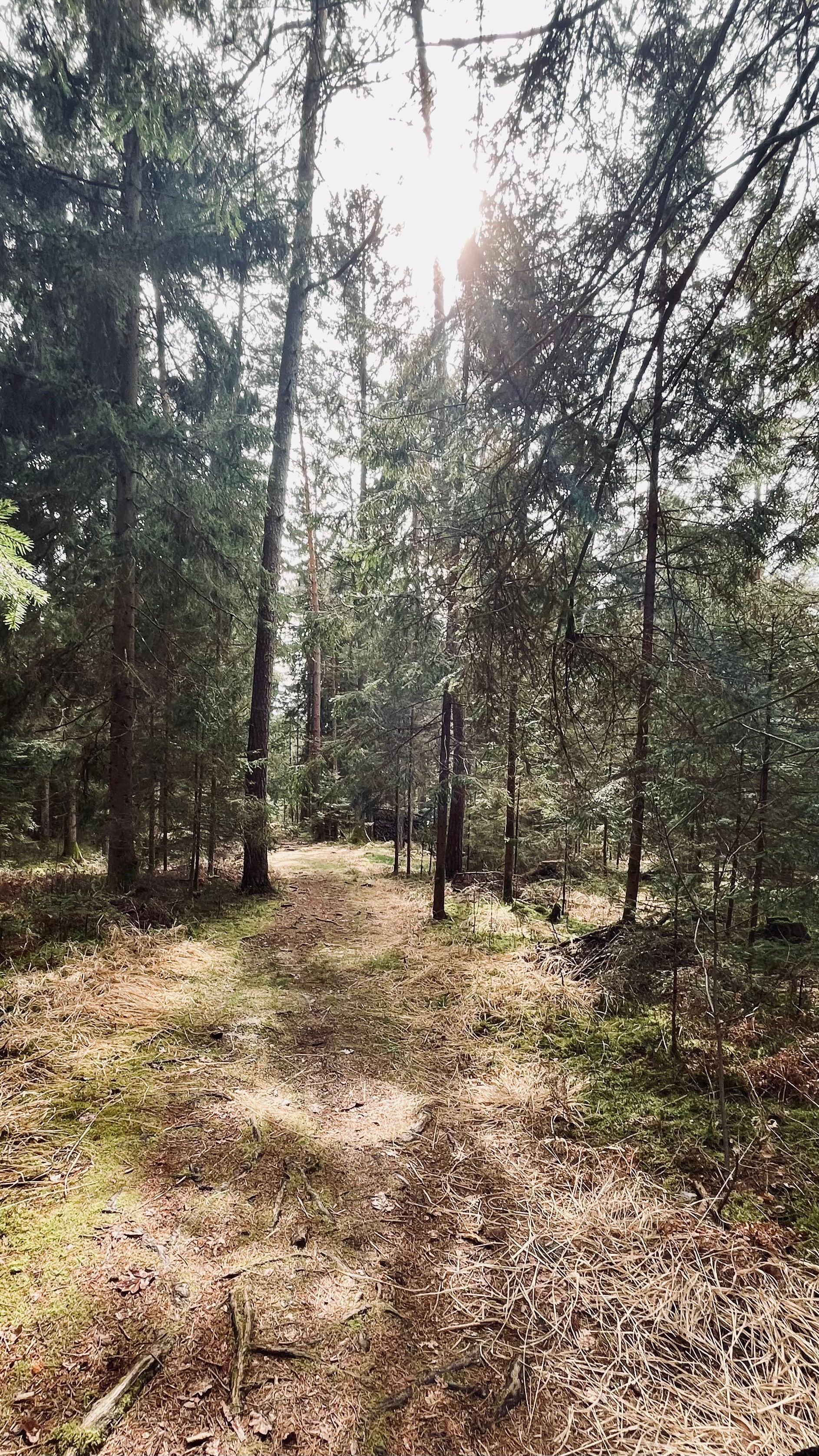 With a (gravel) bike you can explore landscapes you usually wouldn't reach. 