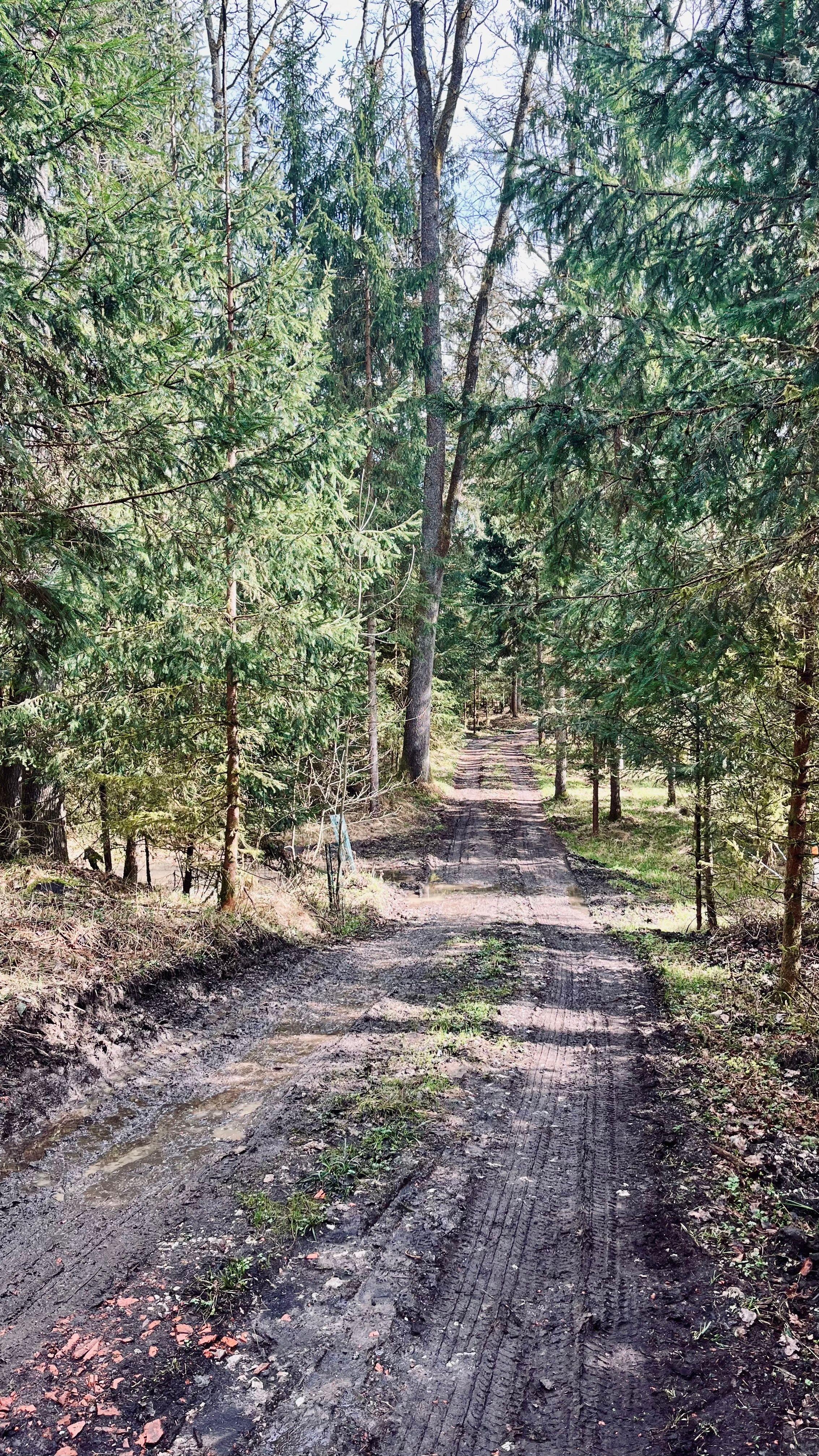 Muddy gravel roads in Graz are fun to ride.