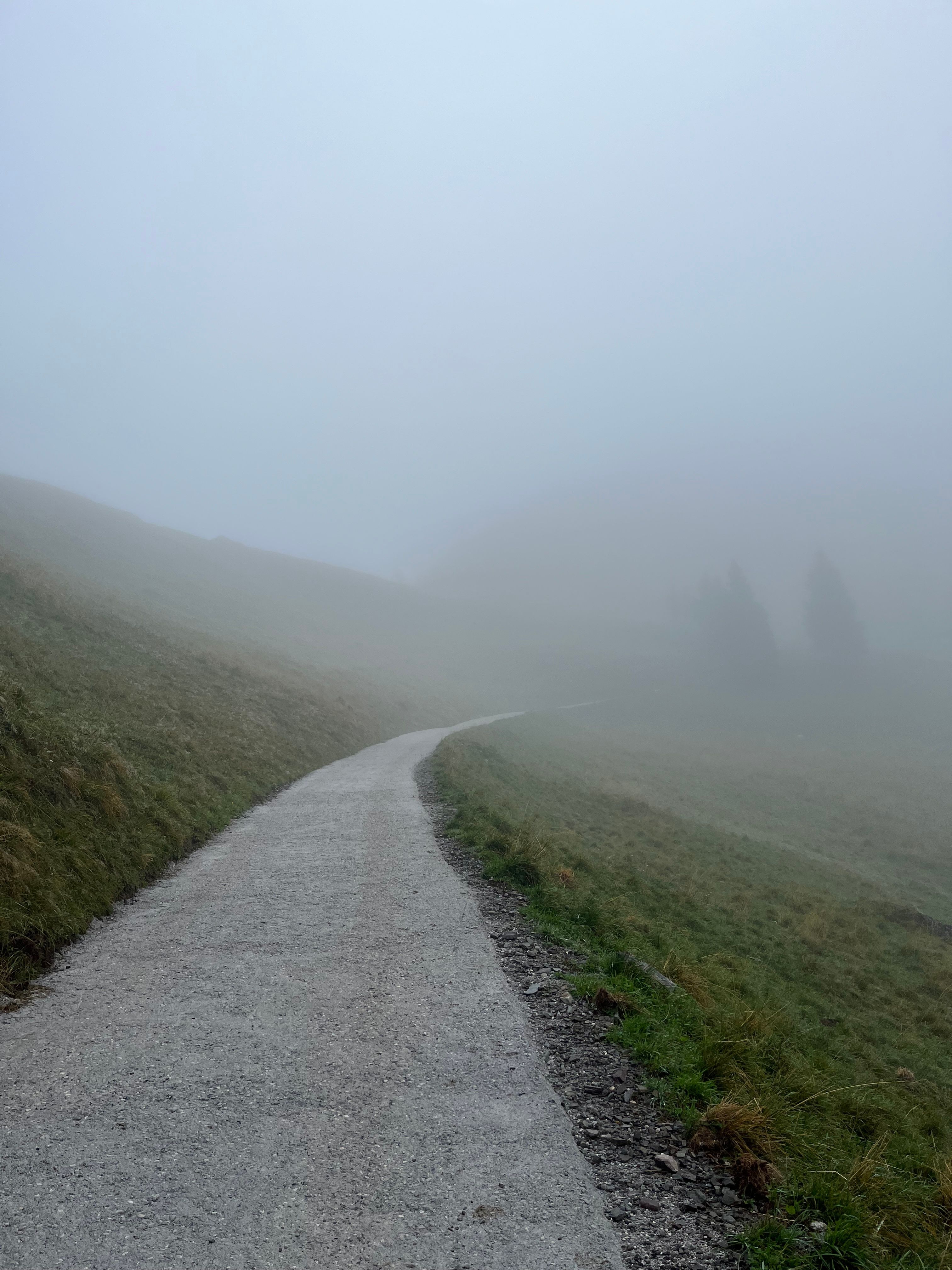 The climb out of Sauris di Sopra was absurdly steep and completely covered in fog. Day 3 of the Sneak Peaks bikepacking race.