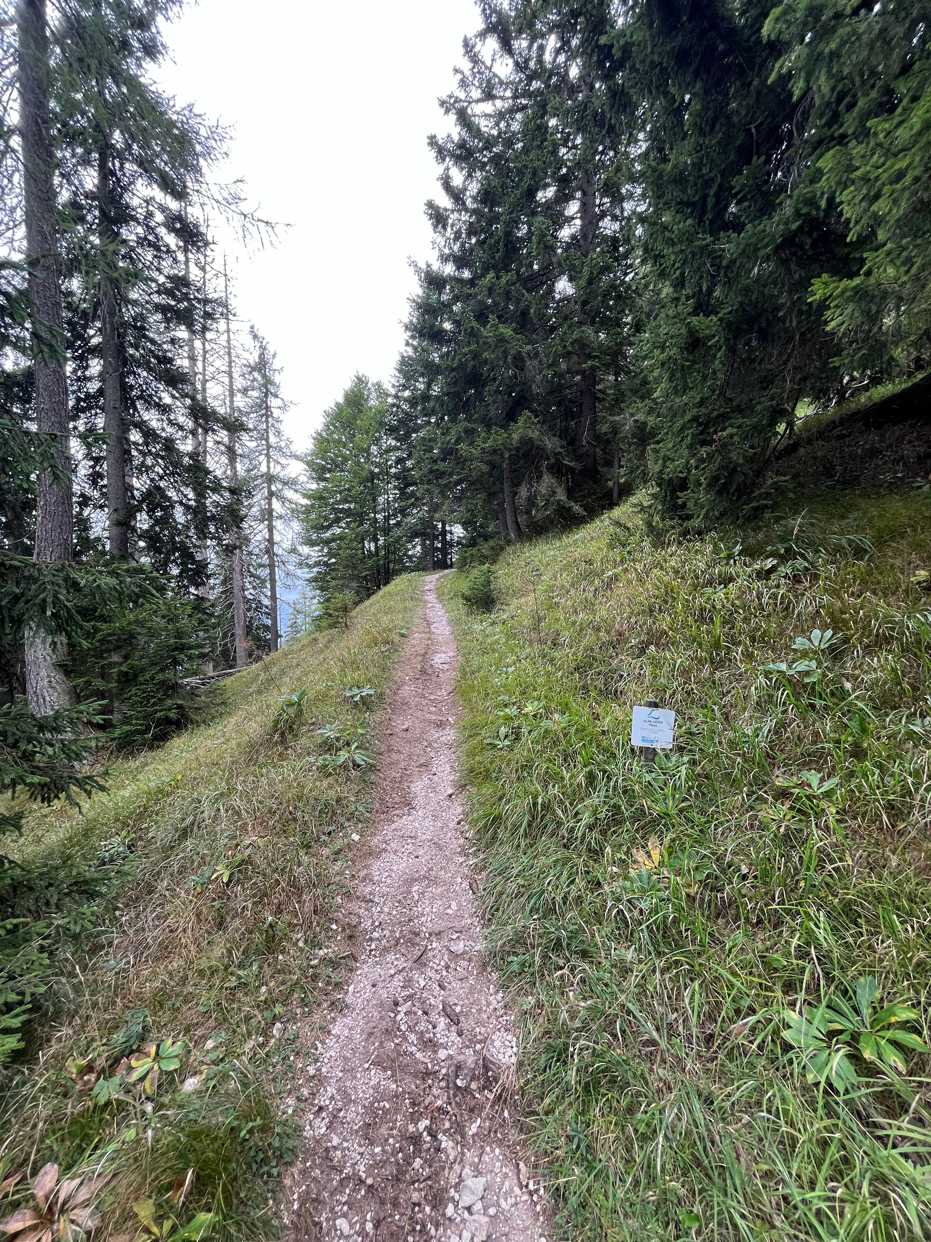 A few sections of single trail were also fun and really nice on a gravel bike!