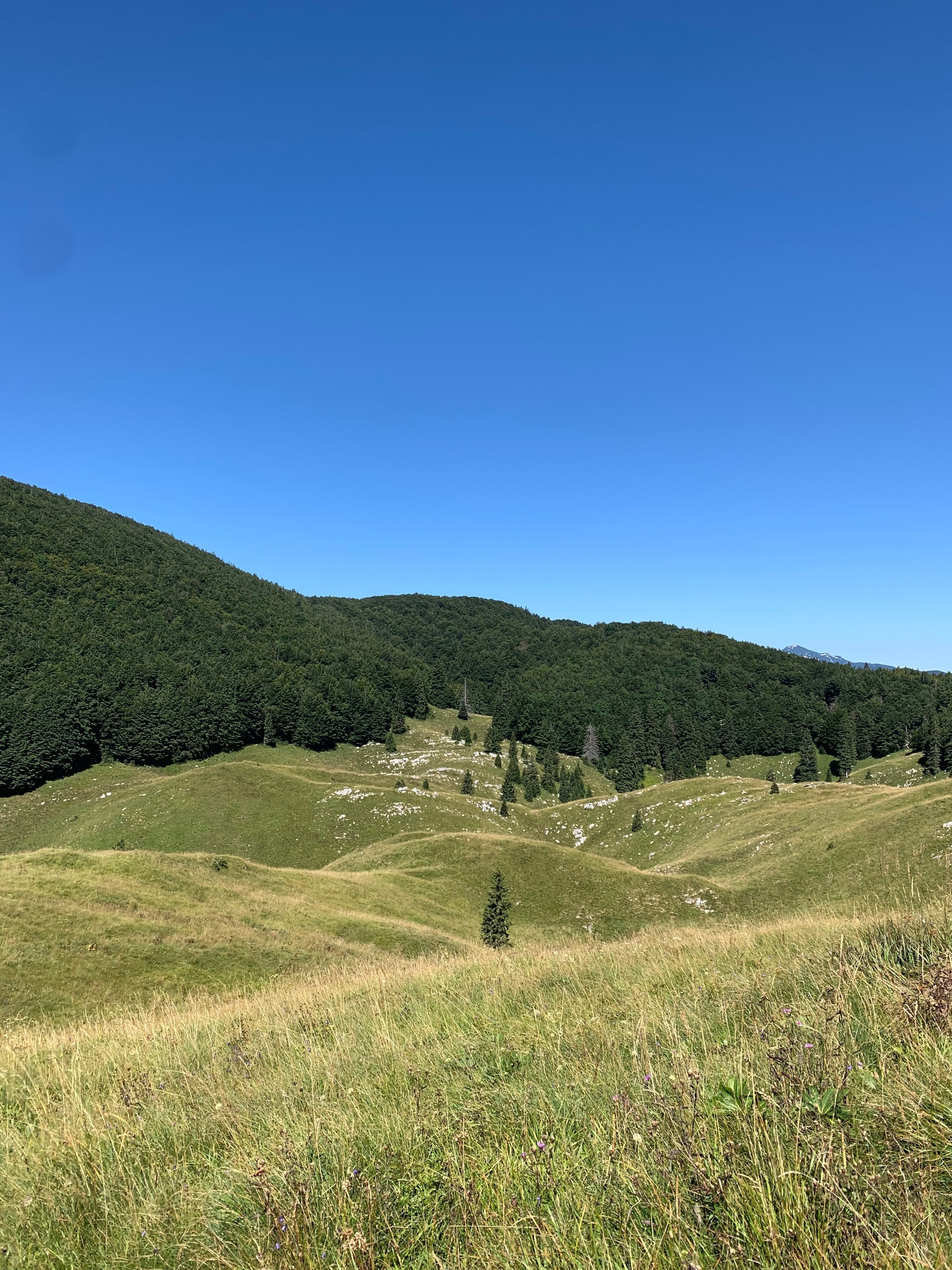 Slovenias vast mountainous forrests are filled with gravel roads to explore whole bikepacking.