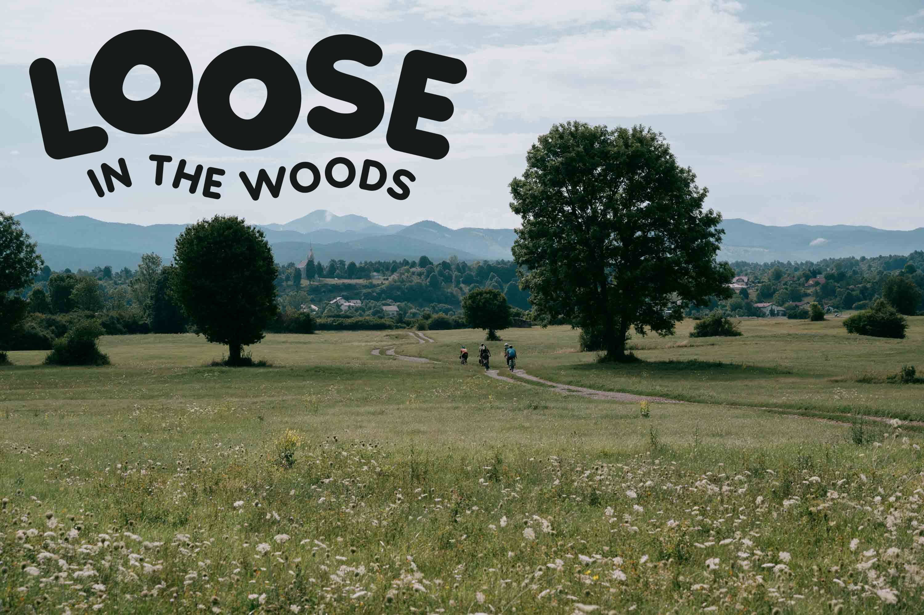 Loose in the Woods