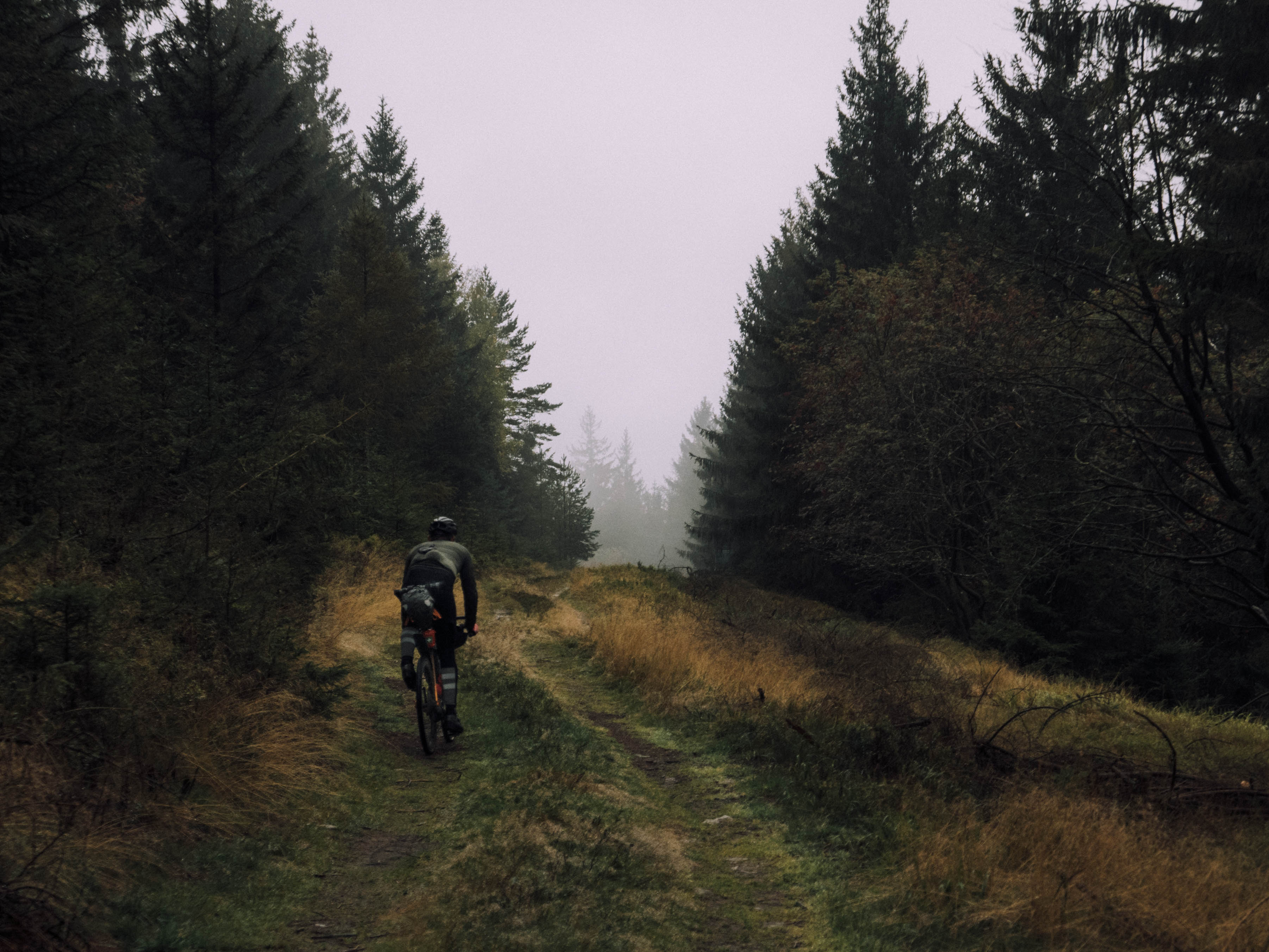Cycling - Bohemian Forest