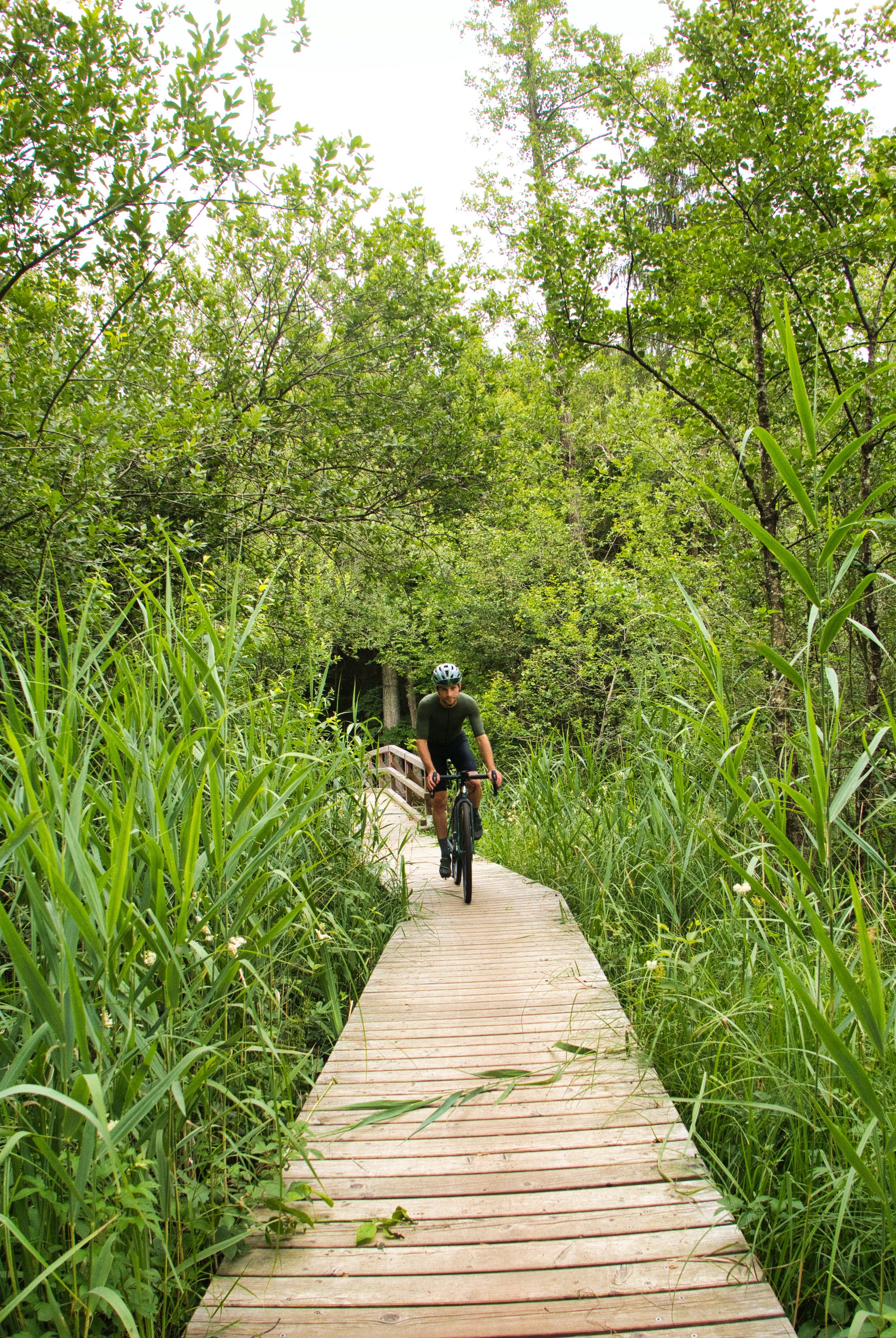 Dieser kleine Weg am Grabensee im Salzburger Seenland wird Gravelbiker sicher glücklich machen.