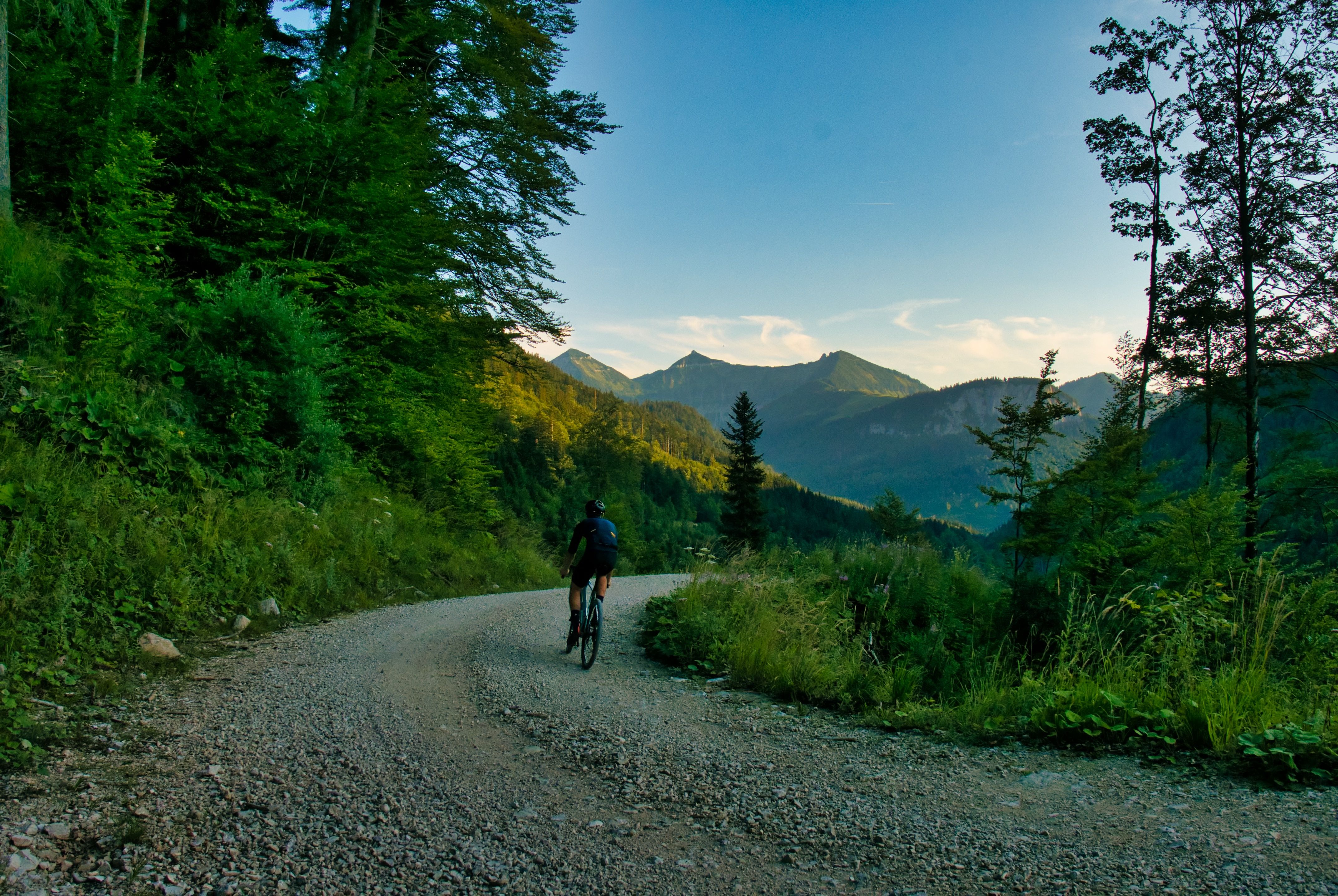 Die Abfahrt von der Hatzenalm ist schnell und macht Spaß. Perfekt für Gravelbikes.