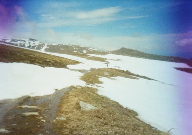 Gallery image 13