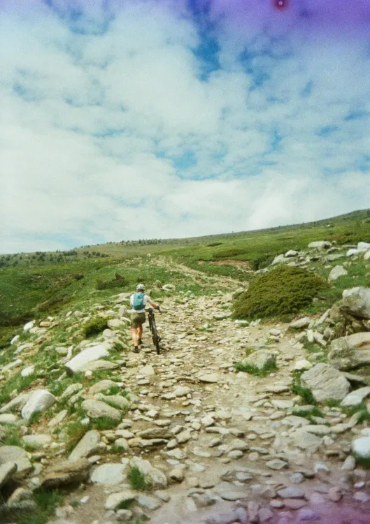 Gallery image 6