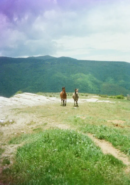Gallery image 10