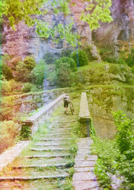 Gallery image 2