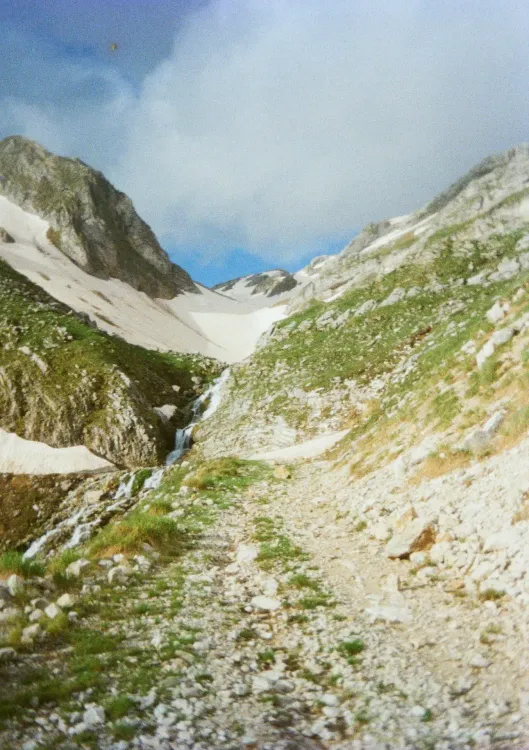 Gallery image 7