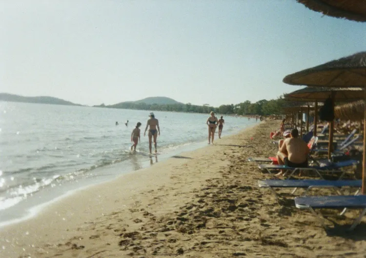 Gallery image 11