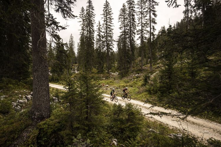 The high alpine forrests above Gosausee are a stunning scenery for riding a gravel bike.