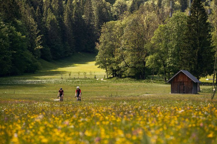 Die Schotterstraße zur Moosalm ist ein Paradies für Gravelbikes. Sie verbindet den Schwarzensee mit dem Attersee.