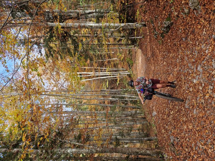 Kleine schmale Waldwege führen Sie durch den kroatischen Teil der Lynx Trail Cycling Route.