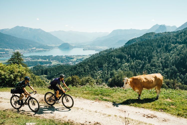 View from Zwölferhorn to Wolfgangsee lake on the WOSSA gravel bikepacking route.