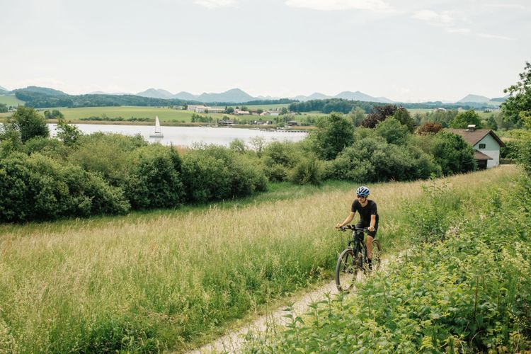 The cycling path along Wallersee is beautiful and pleasant to ride.