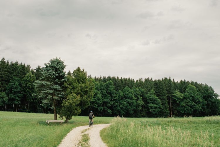 The Henndorf forest is a highlight for cyclists in Salzburg.