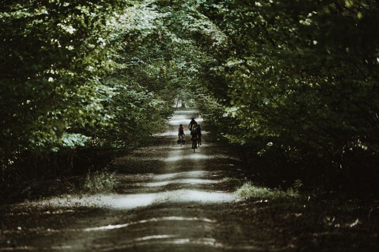 The gravel highways of the Taunus bikepacking route