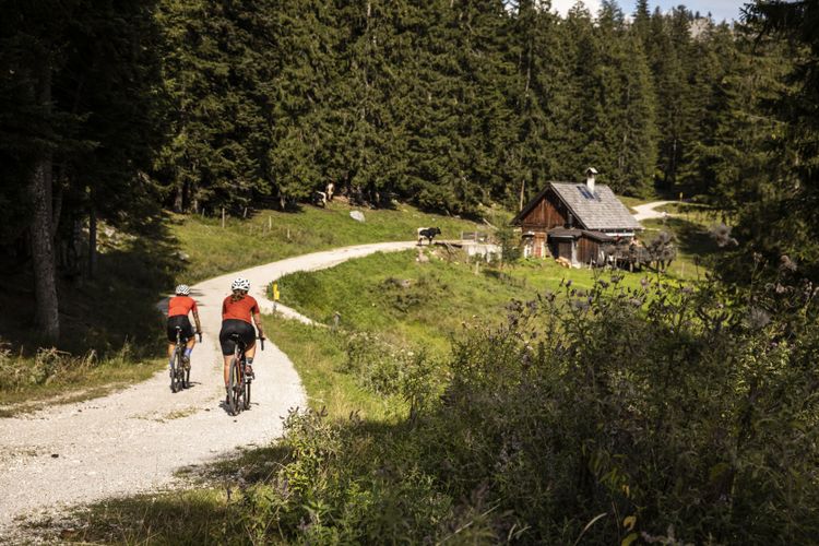 Die Rossmoosalm ist eine wunderschöne Almhütte im Salzkammergut und eignet sich hervorragend zum Schotterfahren.