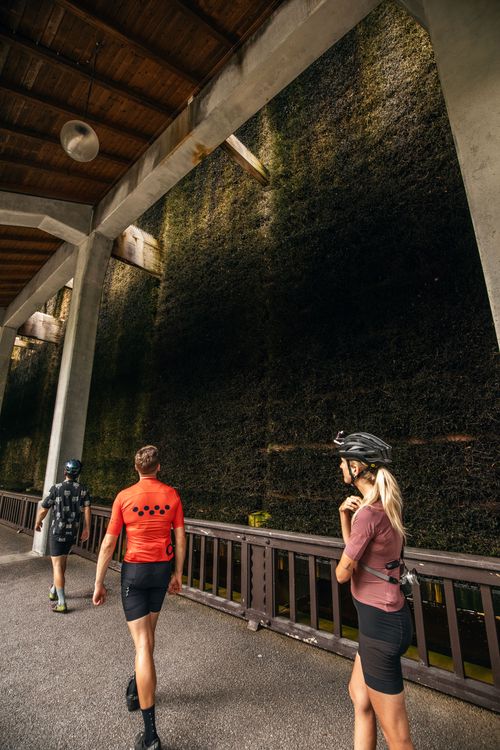 Das Gradierhaus in Bad Reichenhall ist ein bemerkenswerter Ort, den man auf einer Bikepacking-Tour durch Bayern besuchen sollte.