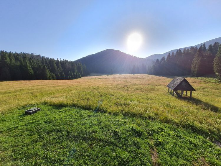 shelter for feeding wild animals