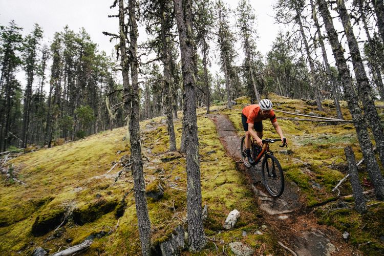 Würdet ihr Mountainbike-Trails mit einem Gravelbike fahren? Santa Cruz ist der Meinung, dass ihr es mit dem Stigmata versuchen solltet