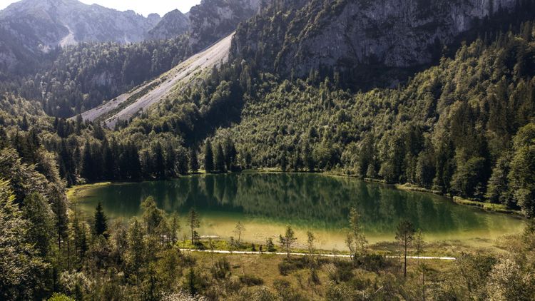 Der Frillensee in Bayern ist der kälteste See Deutschlands und man kann dort mit dem Gravelbike fahren.