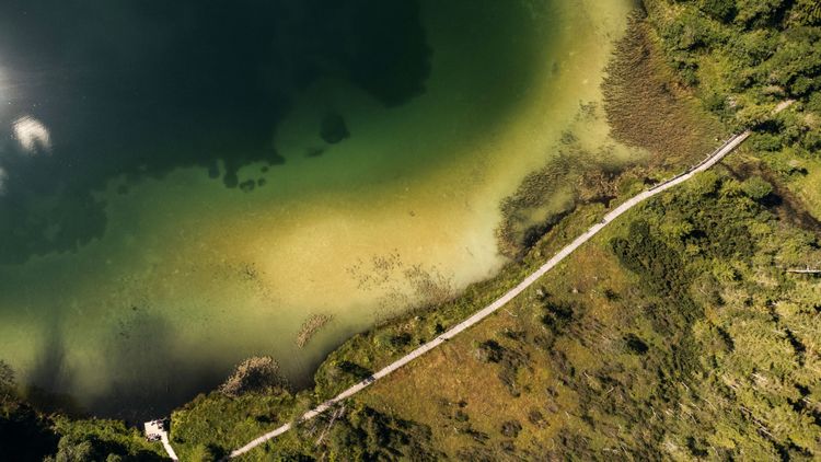 The Frillensee is a small and very special lake along the WOSSA bikepacking route in Bavaria.