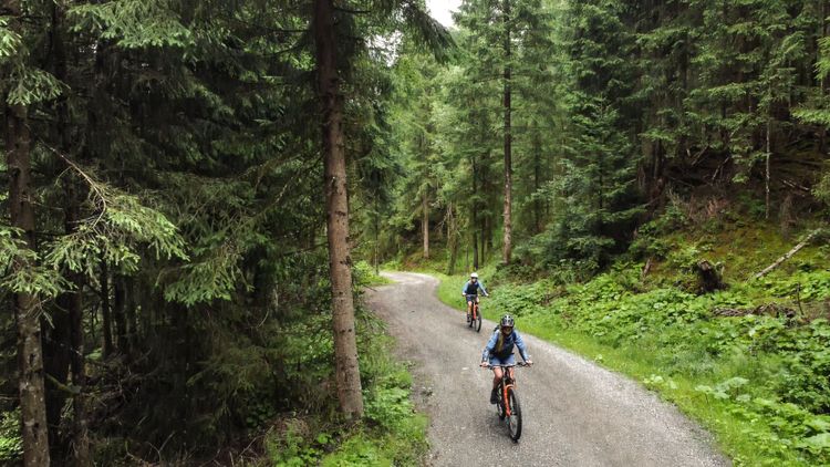 Der Aufstieg zur Choralpe führt steil bergauf durch dichten Wald. Eine Herausforderung für Mountainbiker.