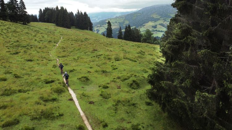 Der Wiegalm Trail ist ein Naturweg, der ein Traum für Mountainbiker ist.