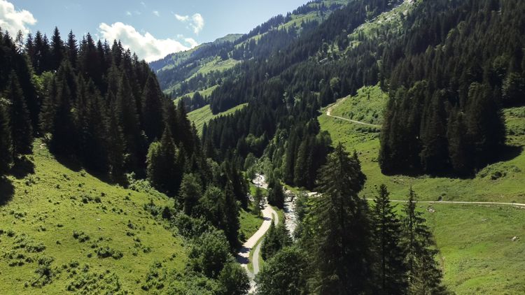 The tiny road up the Spertental in Tyrol is a cyclists dream and a nature paradise.