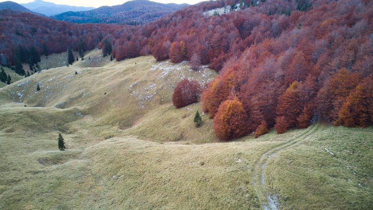 The vast landscape of karst mountains in the DInaric Mountains