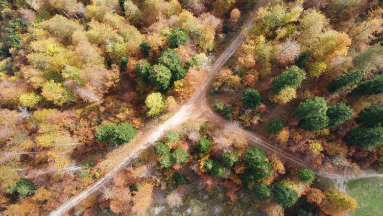 The Lynx Trail Bikepacking route has a special flare when you ride it in Indian Summer!