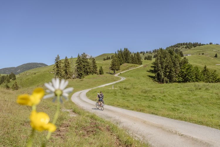 Die Kalkalmen sind eine einzigartige Landschaft, die ihr mit dem Fahrrad auf der KAT-Radroute durch die Alpen erkunden könnt.