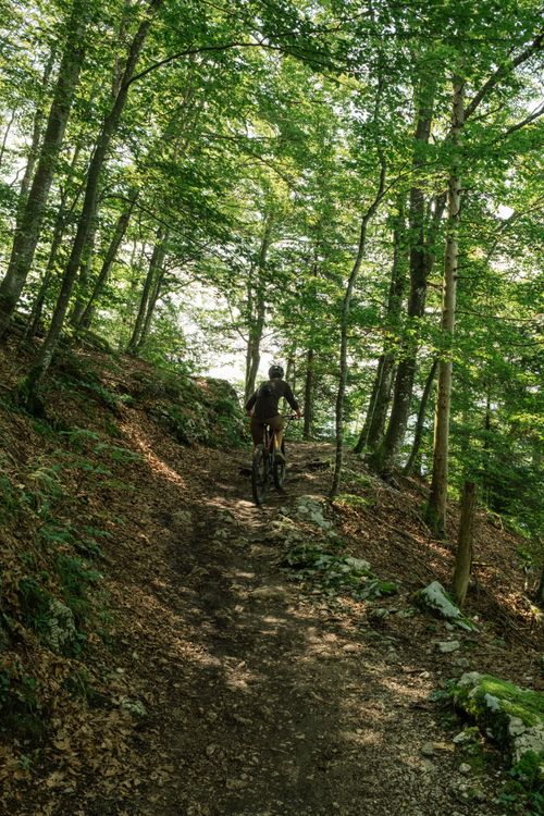 Uphill Flow beim Mountainbiken dank Bosch Motor.