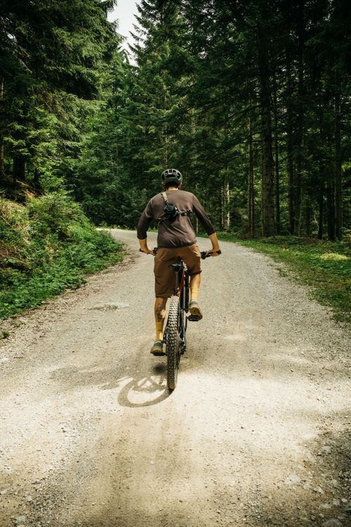 Dank Bosch CX E-Bike motor geht es mühelos bergauf!