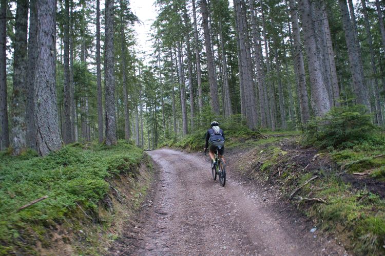 Through dense forest on gravel bikes through the Tennengau.