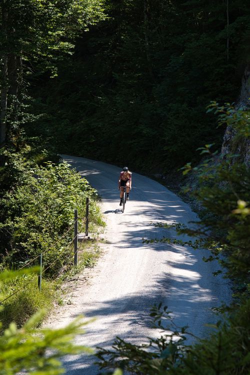 Das Weissenbachtal in Oberösterreich bezaubert Gravelbiker mit sanften, aussichtsreichen Schotterstraßen.