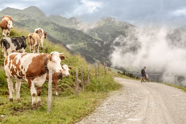 The locals are friendly and curious about cyclists in the Kitzalps area.
