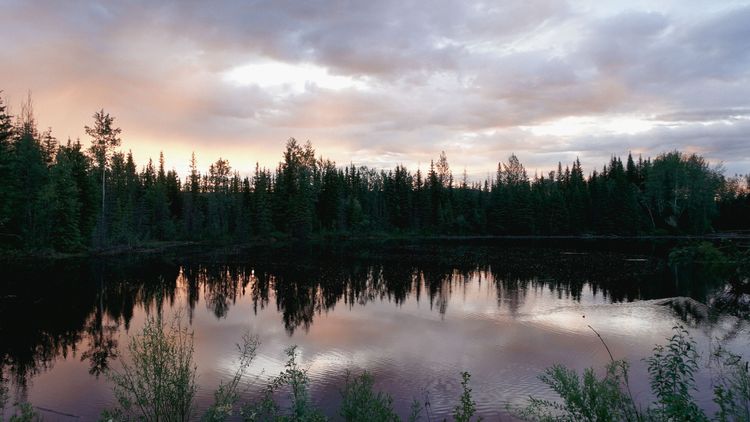 Canadian sunsets hit different.