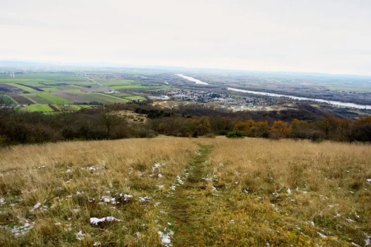 Grevet #1: Zwischen Barbaricum und Pannonien