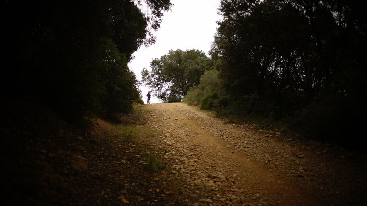 Gallery image 9