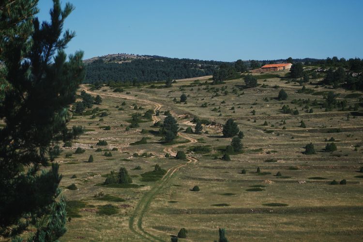 Double Track grass routes - MontañasVacías - Bikepacking route through Spanish Lapland
